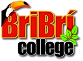 Bribri College